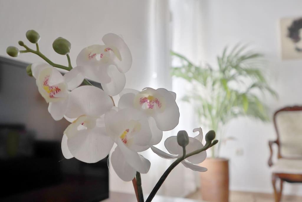Posada La Juderia I Cordoba Ngoại thất bức ảnh